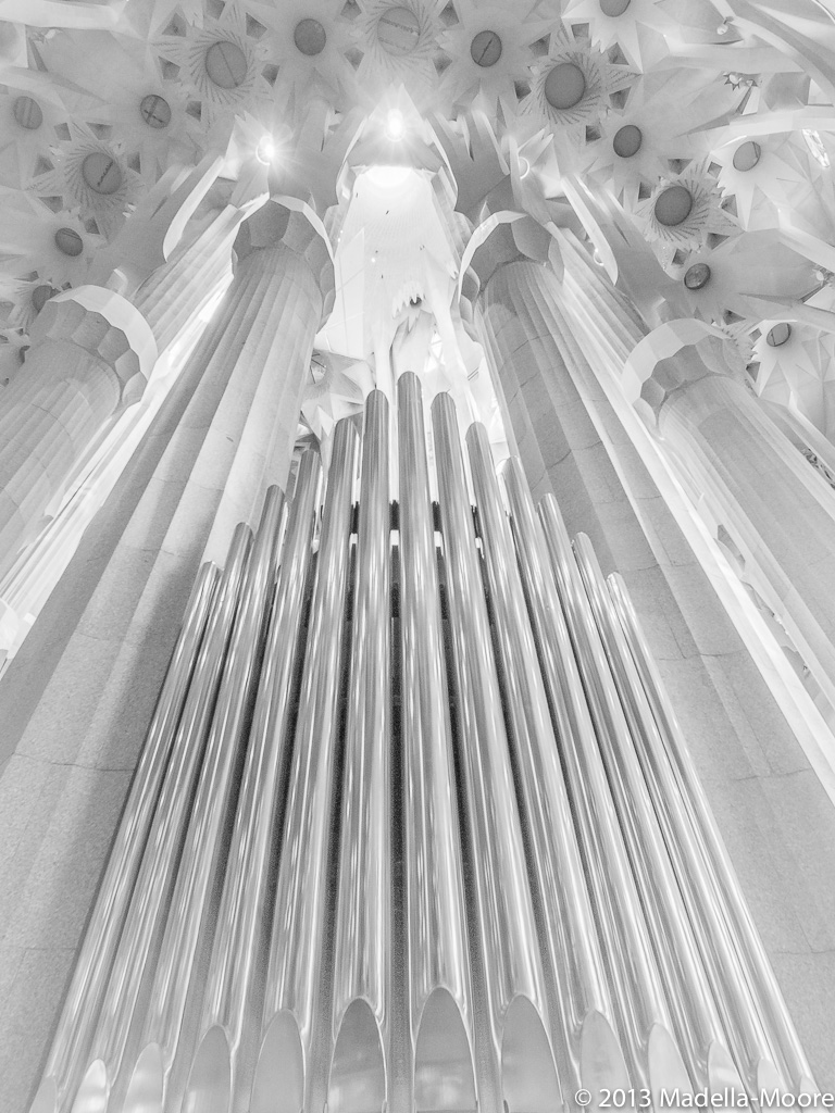 One of the two Organs