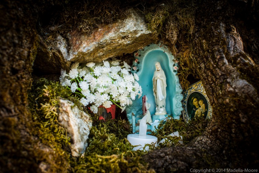 Shrine built in a hollow in a tree. 50mm @ f6.3.