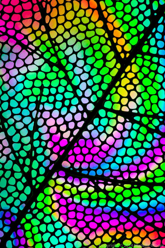 Laser-cut foil and plastic film.