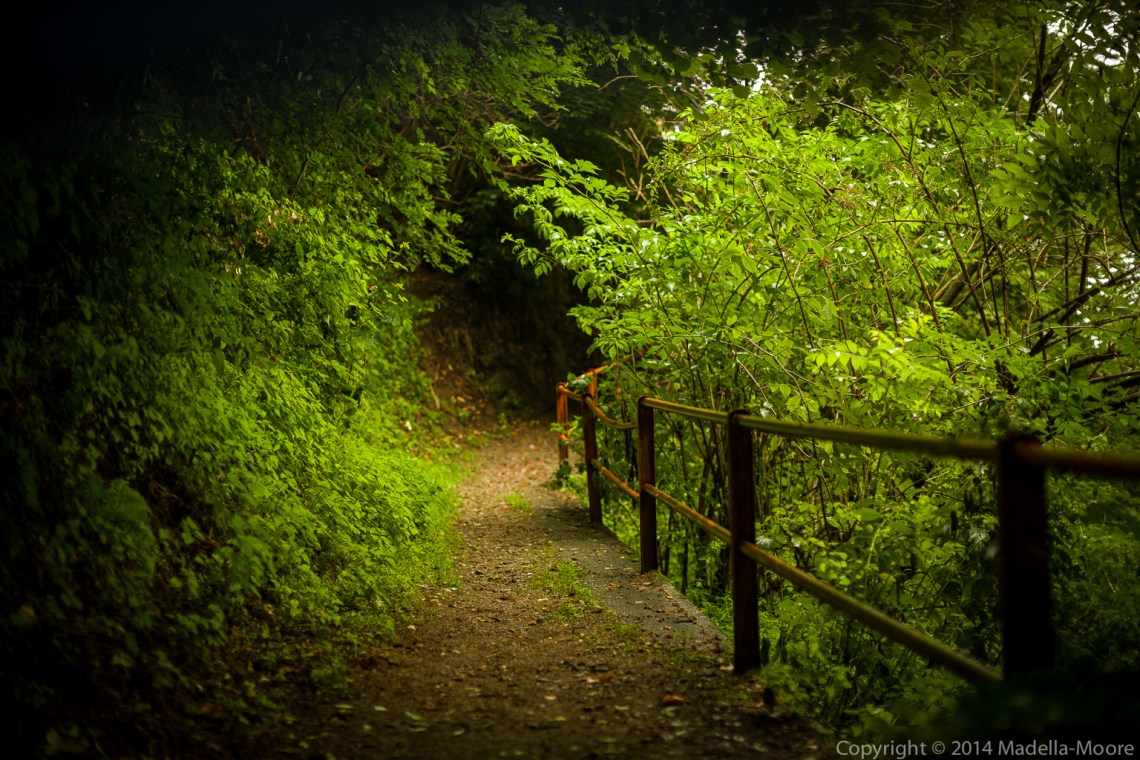 Old mountain path, Mornico, Italy