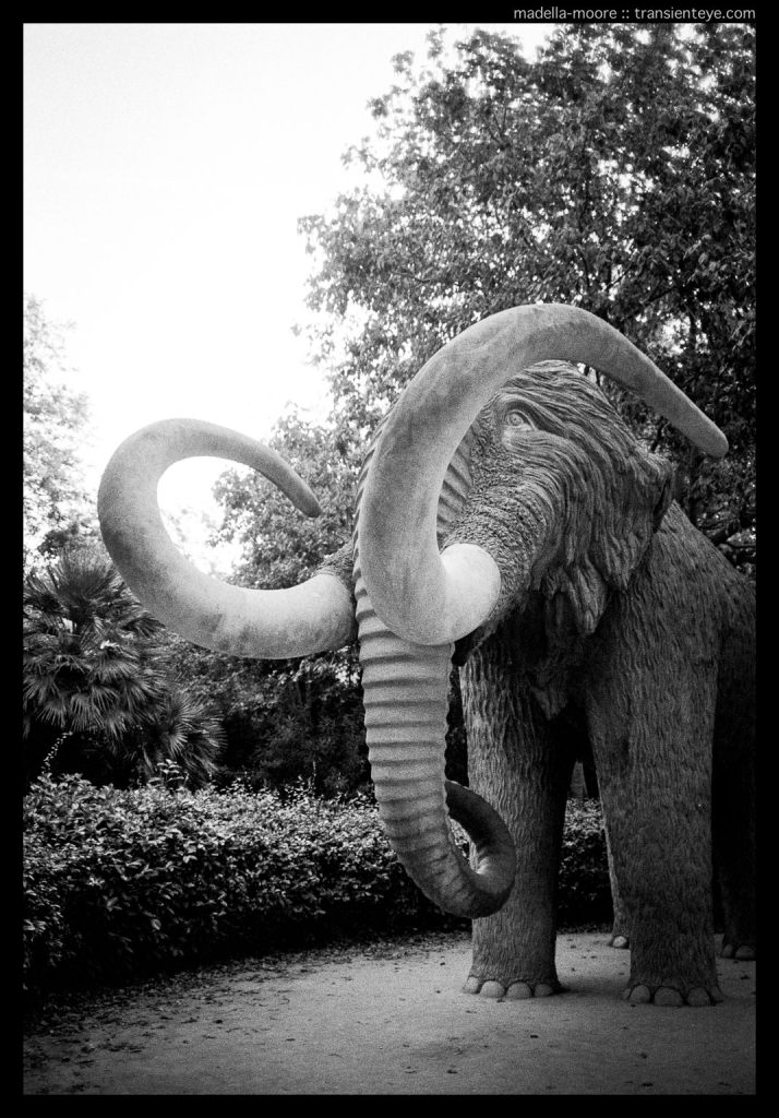 Mammoth, Parc de la Ciutadella, Barcelona. Leica M7. Zeiss ZM 2/35 Biogon.