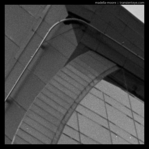 Example 100% crop from Kodak Ektar 100.