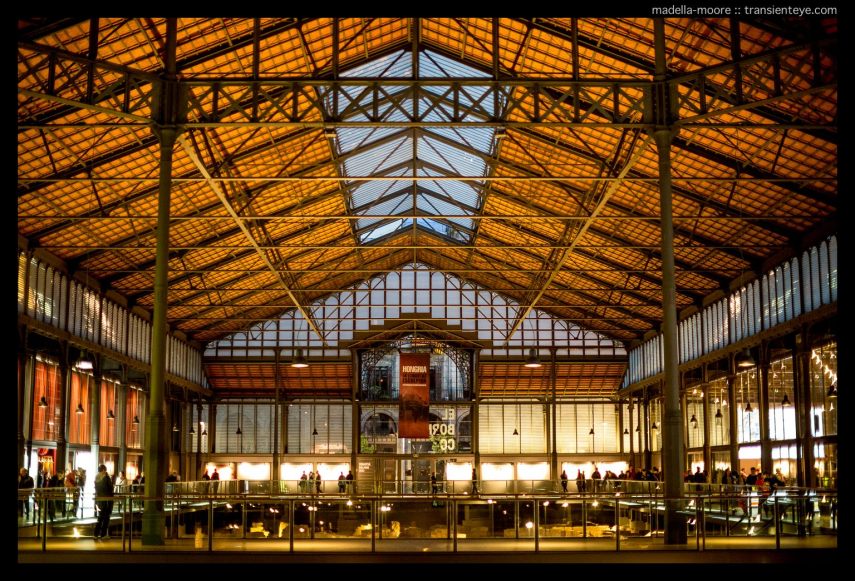 wpid2204-transienteye-barcelona-mercat-del-born.jpg