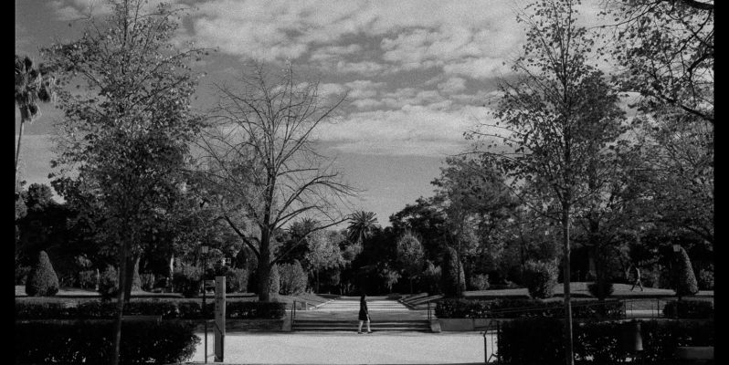 Parc de la Ciutadella, Barcelona.. Leica M7. Barcelona.