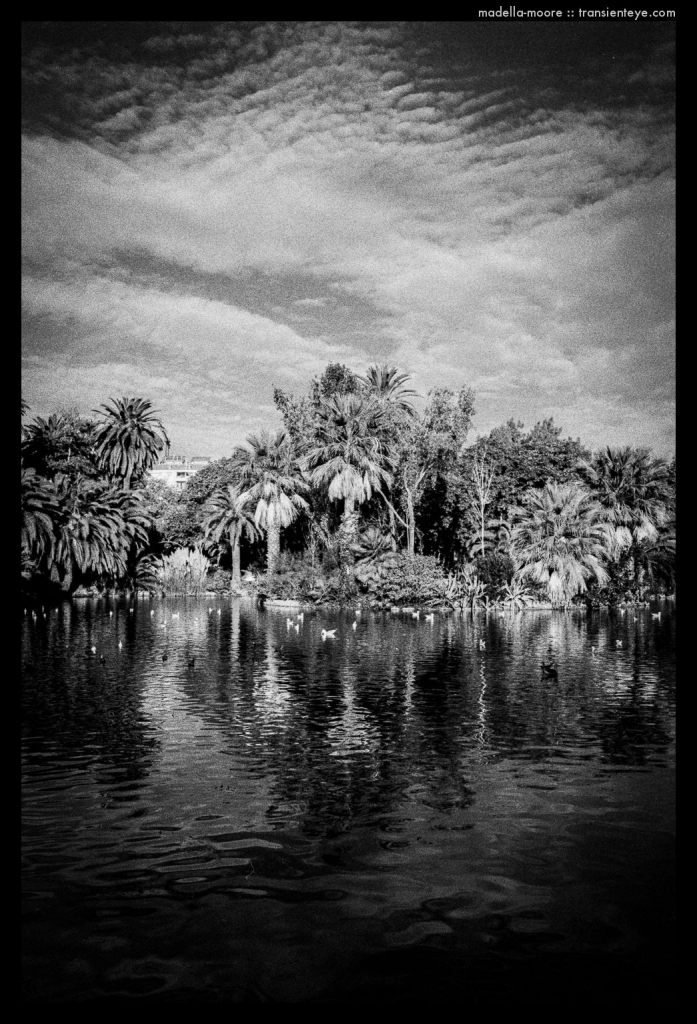 Parc de la Ciutadella, Barcelona. Leica M7,.