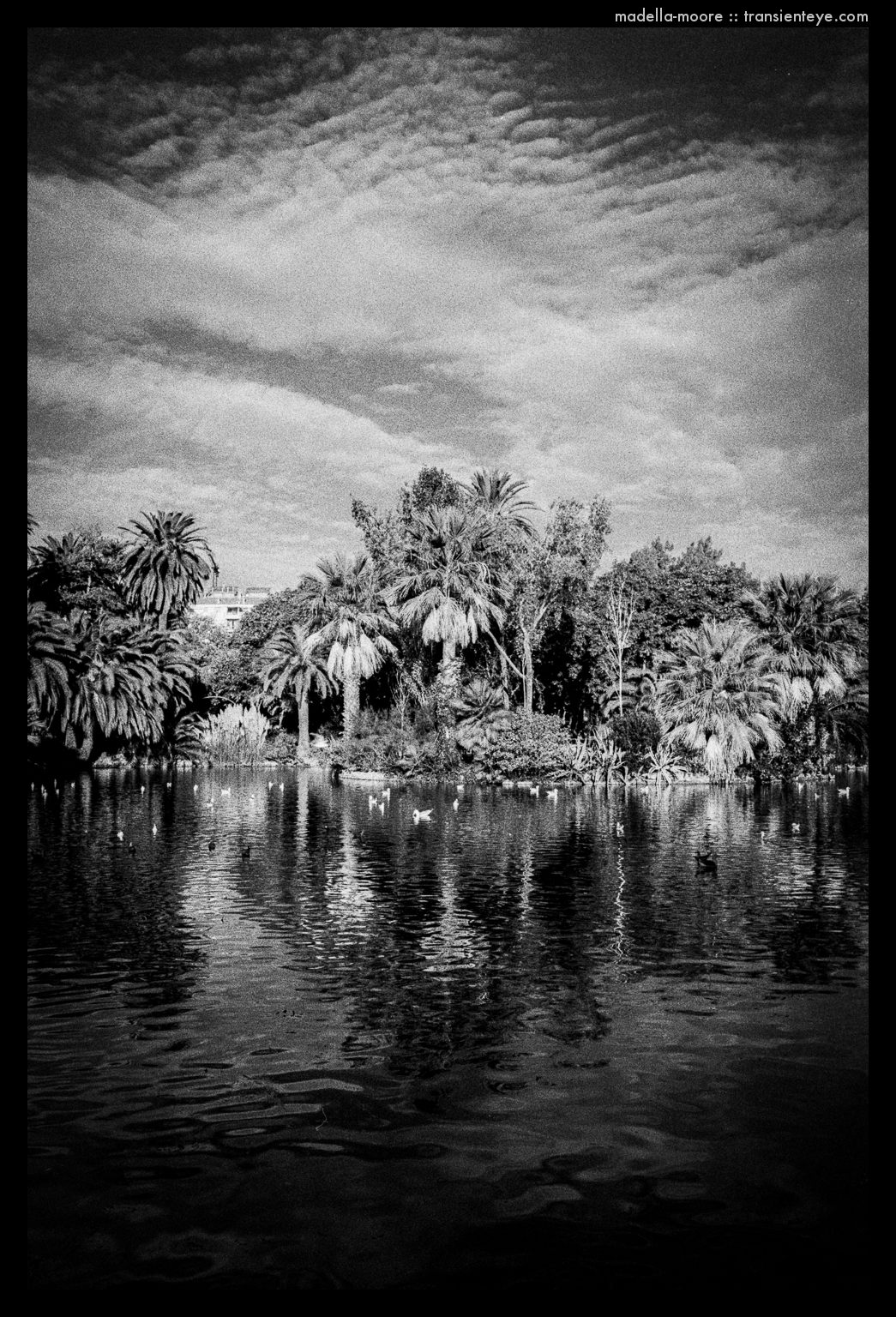 Parc de la Ciutadella, Barcelona. Leica M7,.