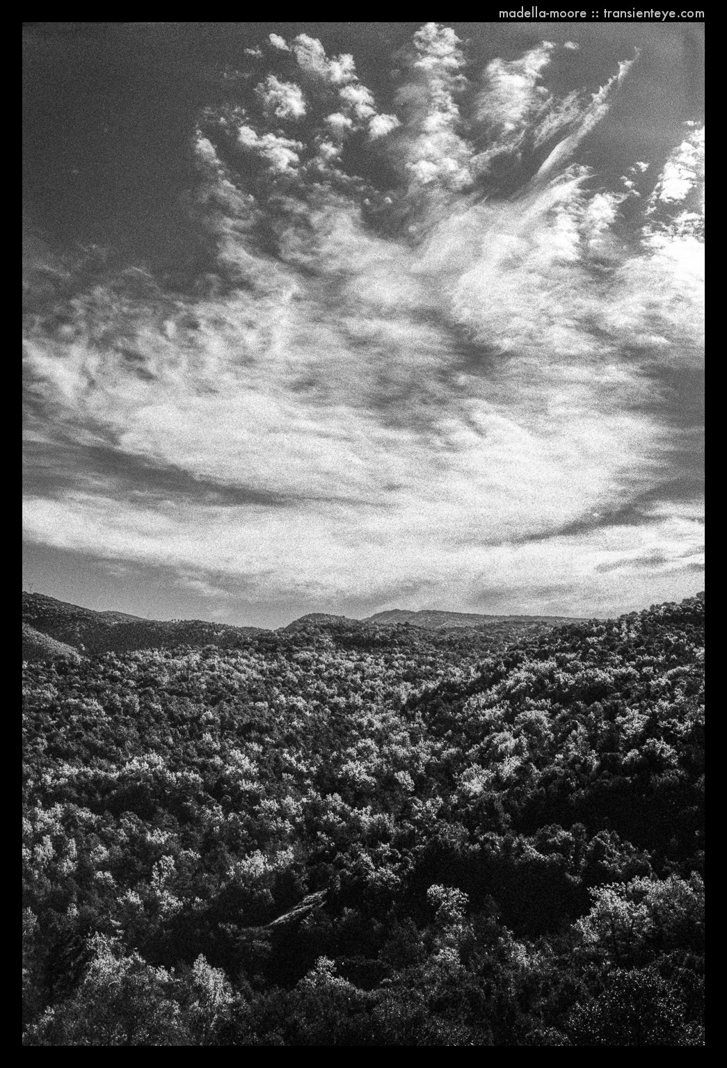 Parc Natural de Montseny, Catalunya. Leica M7 with Zeiss Biogon 2/35 and Ilford HP5 plus.