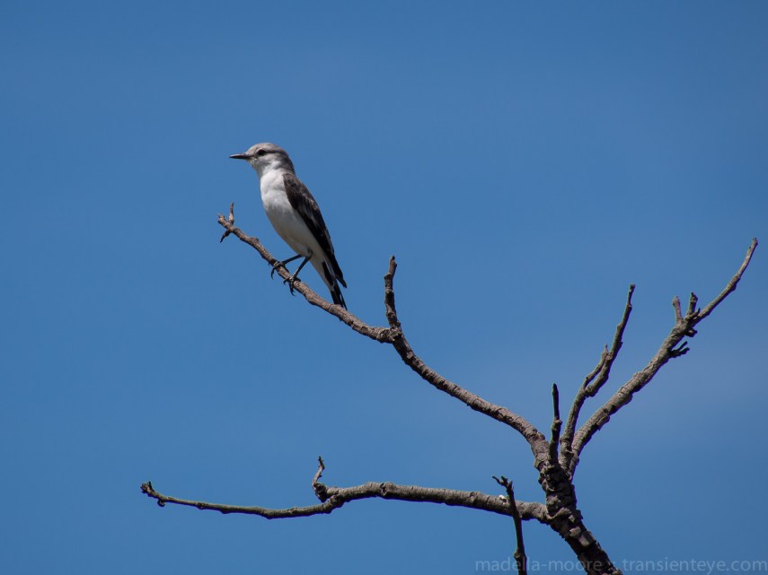 Nature - Serra do Cipó