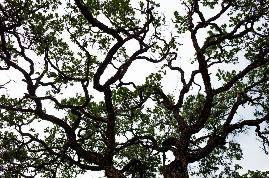 Parque Nacional Serra do Cipó