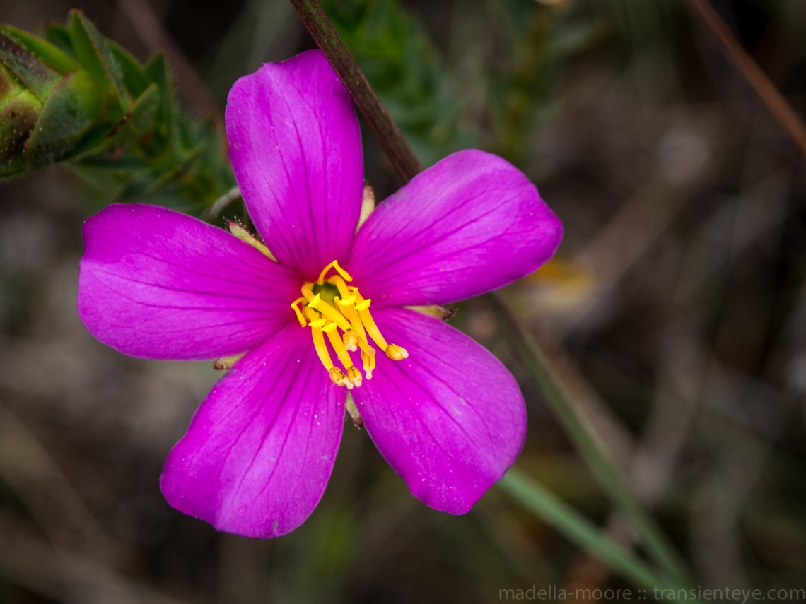 Parque Nacional Serra do Cipó