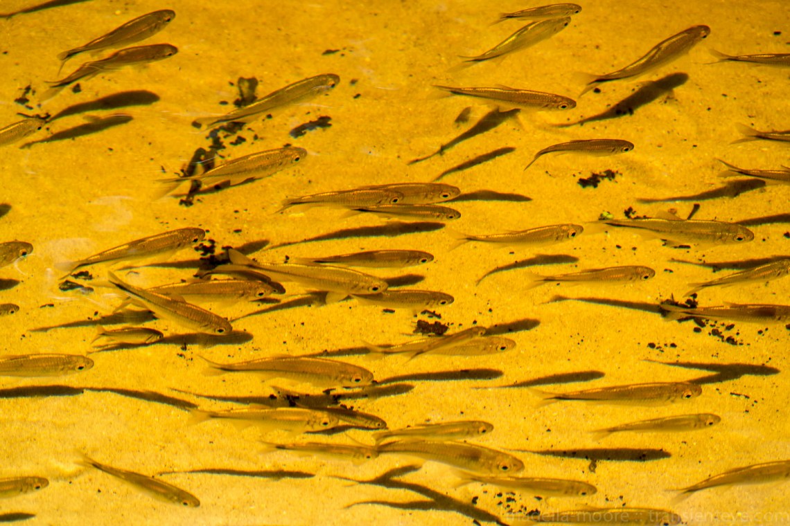 Parque Nacional Serra do Cipó