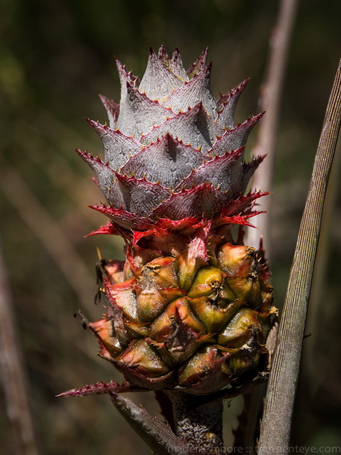 Parque Nacional Serra do Cipó