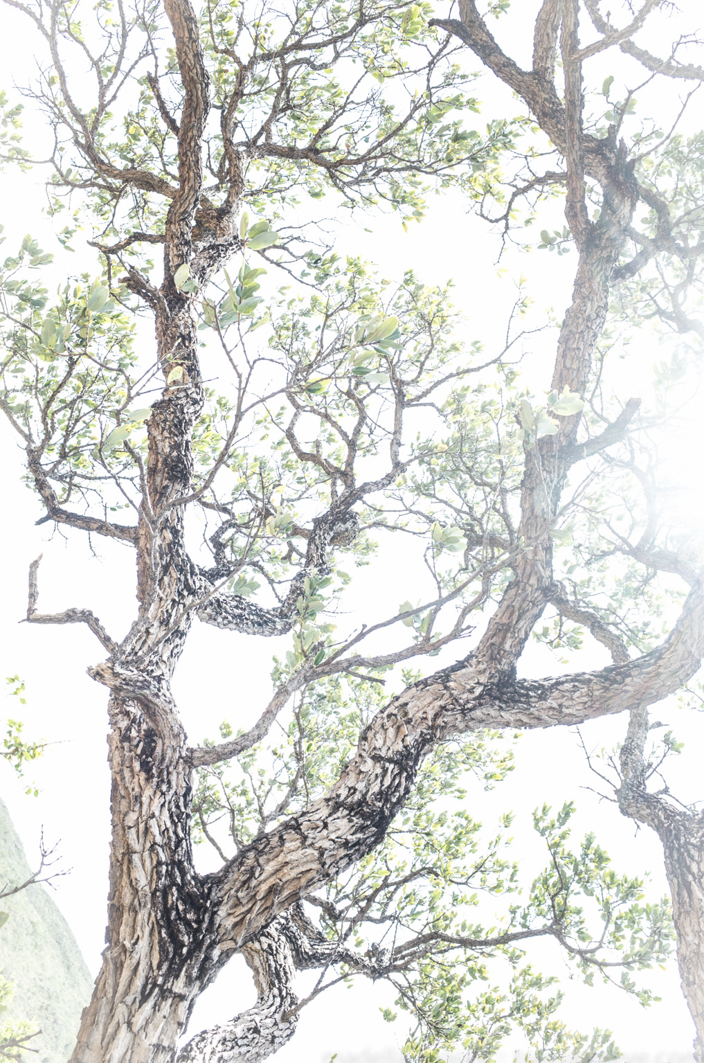 Parque Nacional Serra do Cipó