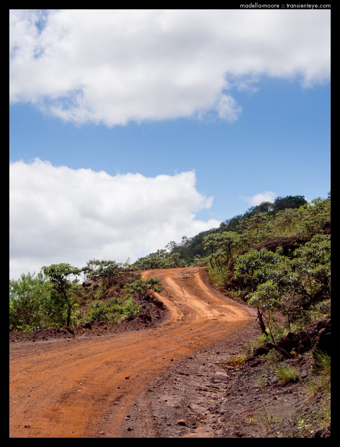 Dark red tracks cut through the landscape.