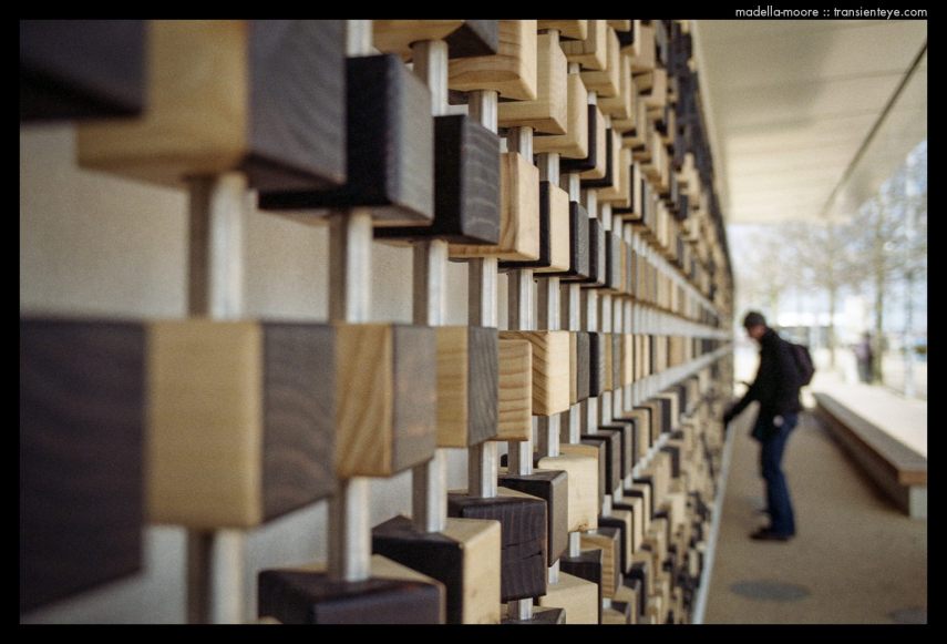 Photography by Mark Moore