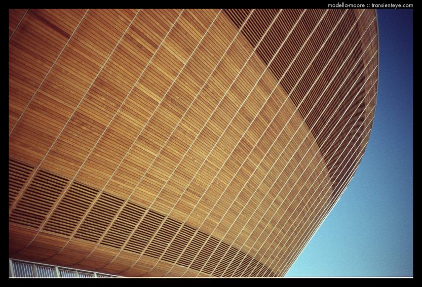 Photography by Mark Moore