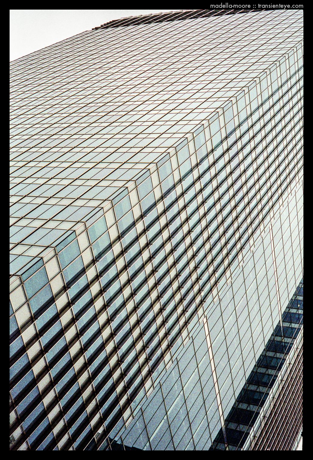 Photograph by Mark Moore