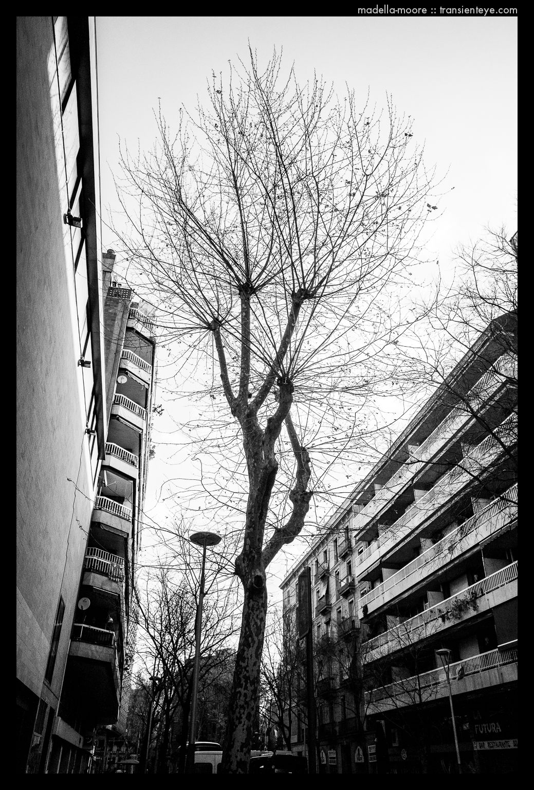 Black and White Photography of Barcelona - Ricoh GR