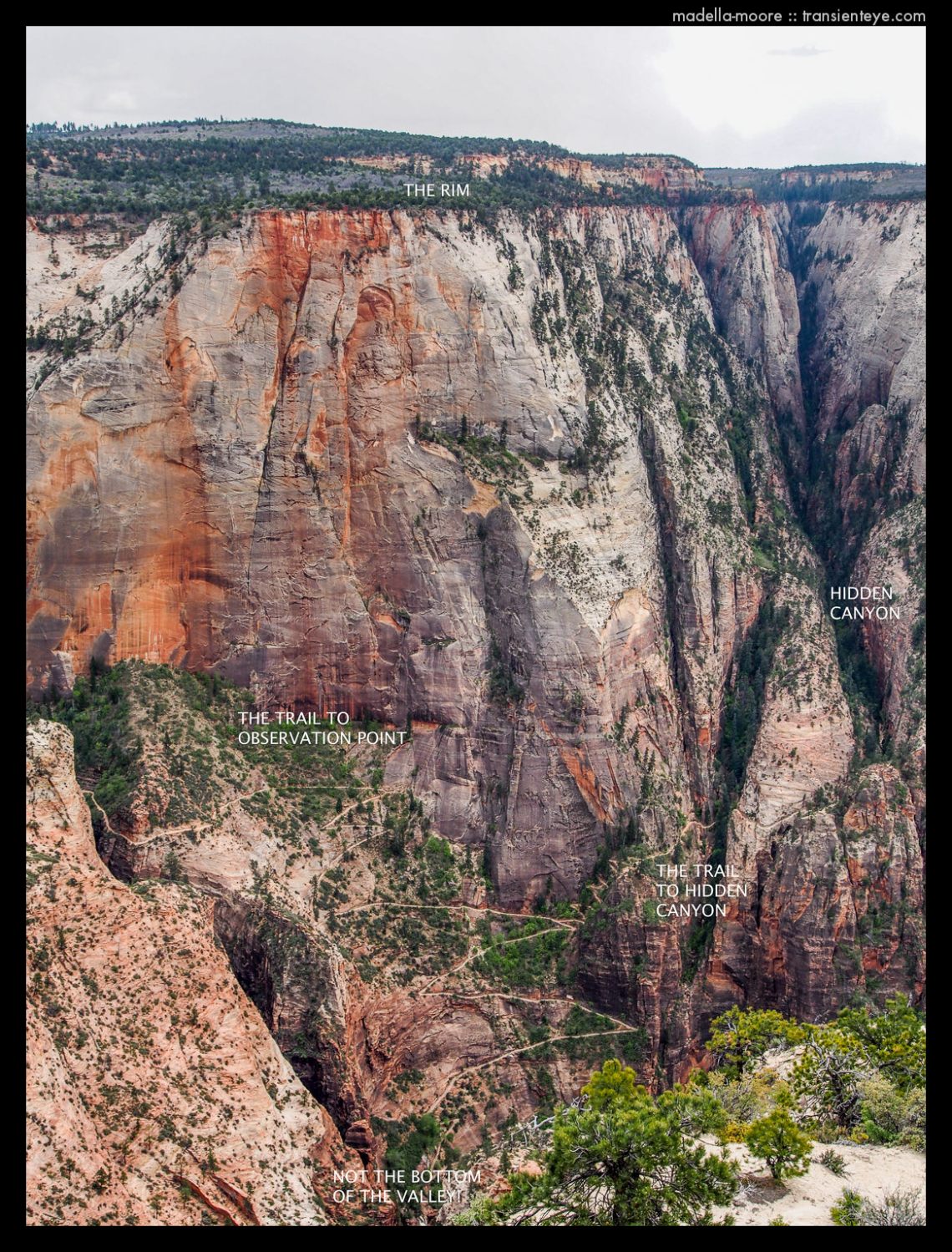 Zion National Park - HIdden Canyon and Observation Point Trails