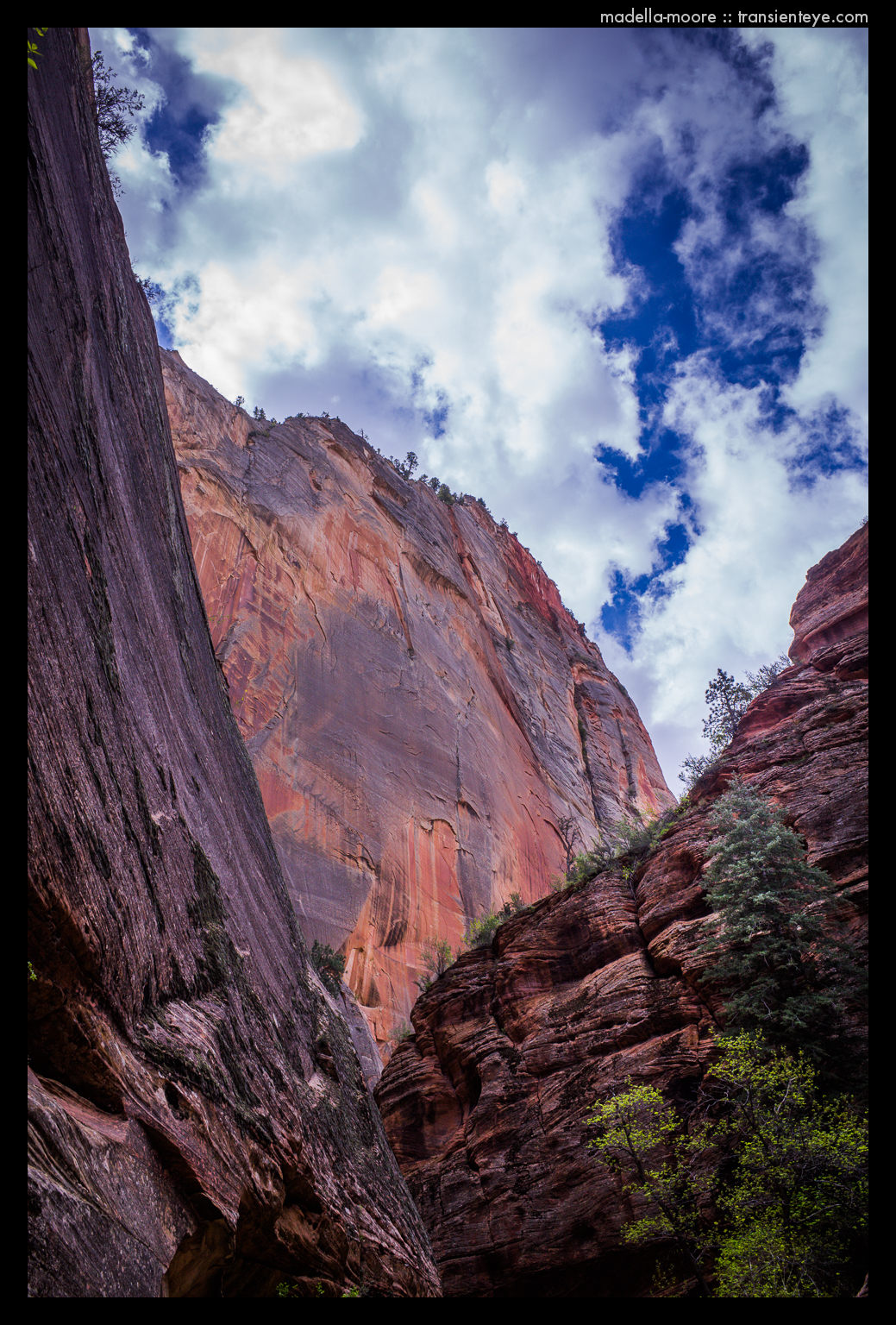 Zion National Park
