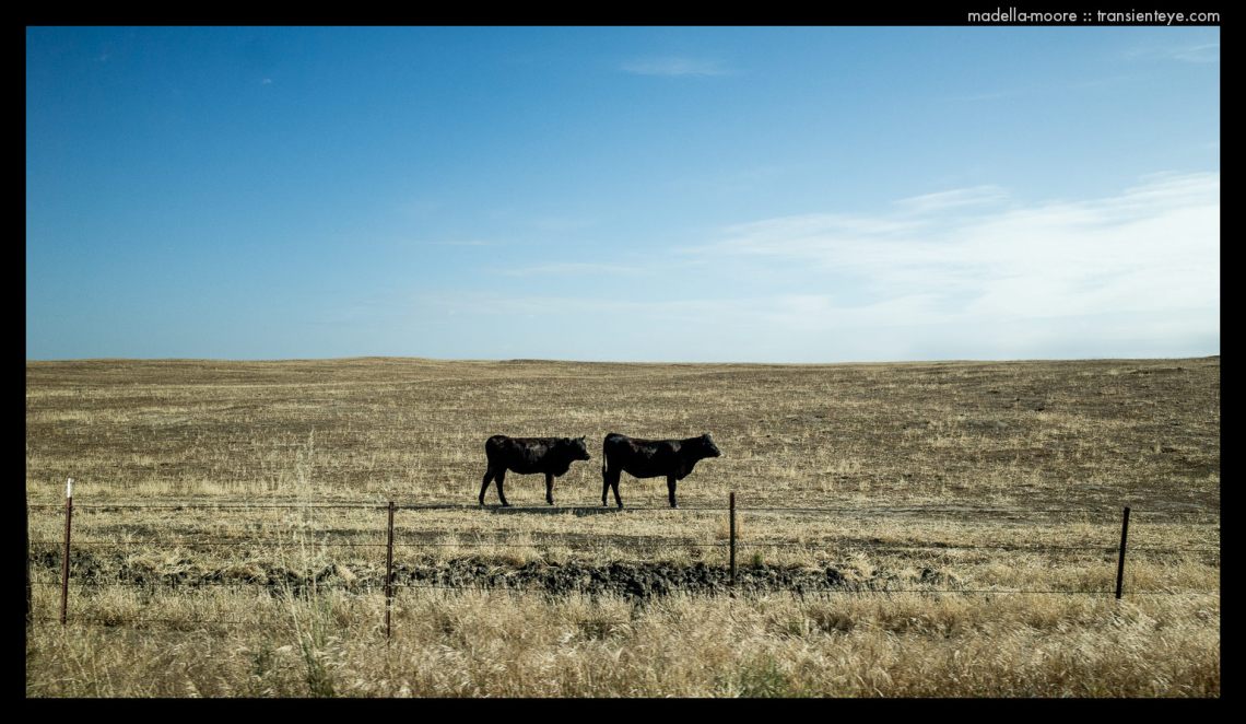 Road Trip - Photograph by Mark Moore