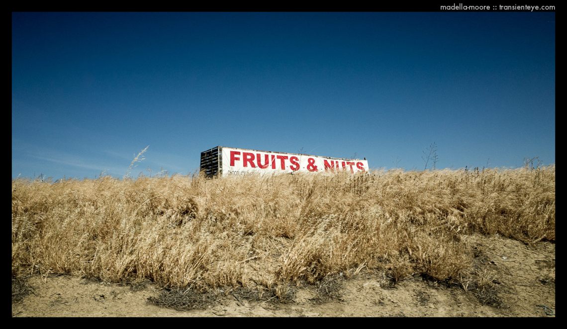 Road Trip - Photograph by Mark Moore