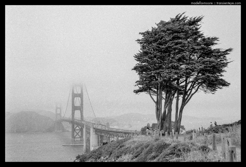 Golden Gate Bridge, San Francisco - Ilford HP5+ Black and White