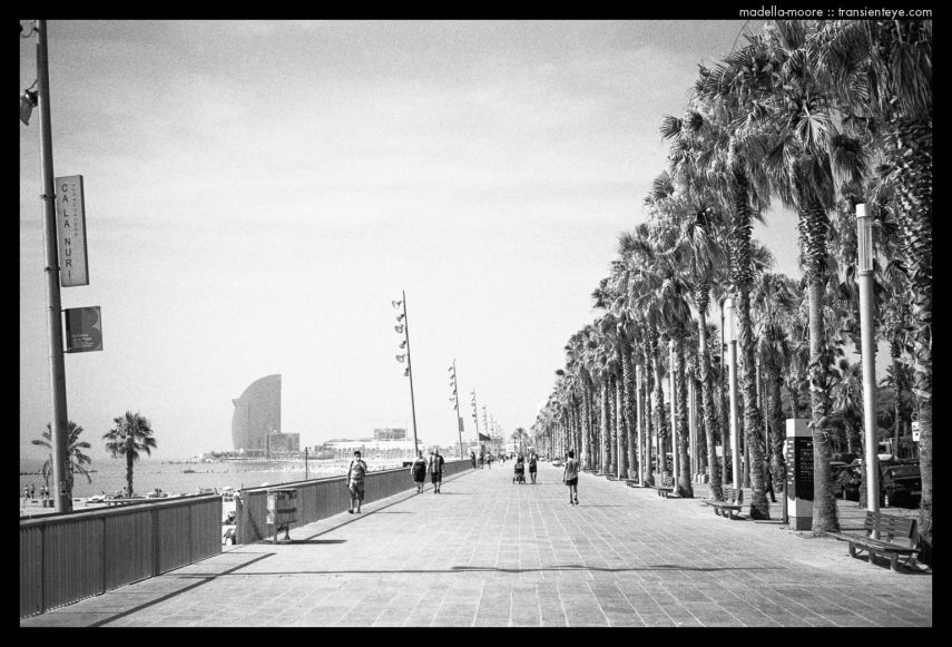 Beachside Dreams - Barcelona - Black and White Film Photography