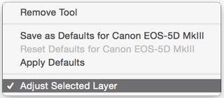 CaptureOne-AdjustSelectedLayer