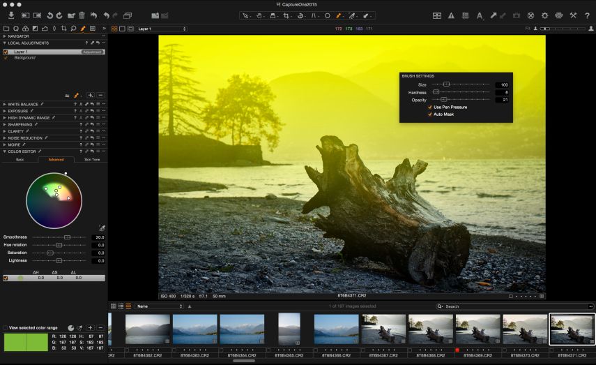 Capture One's Brush Settings Dialogue.