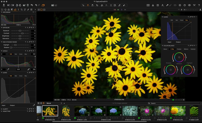 Capture One Conclusion: Beautiful but flawed...