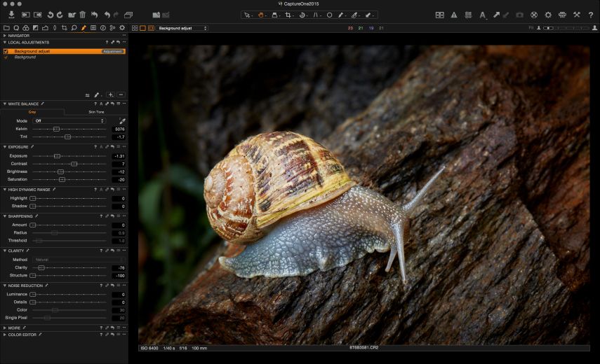 A layer was used here to darken the environment around the snail.