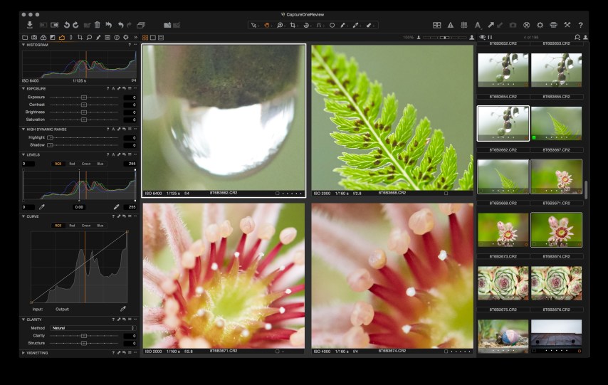 Working with multiple photographs.