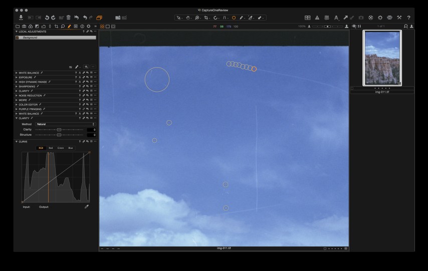 Capture One's spot removal tool.