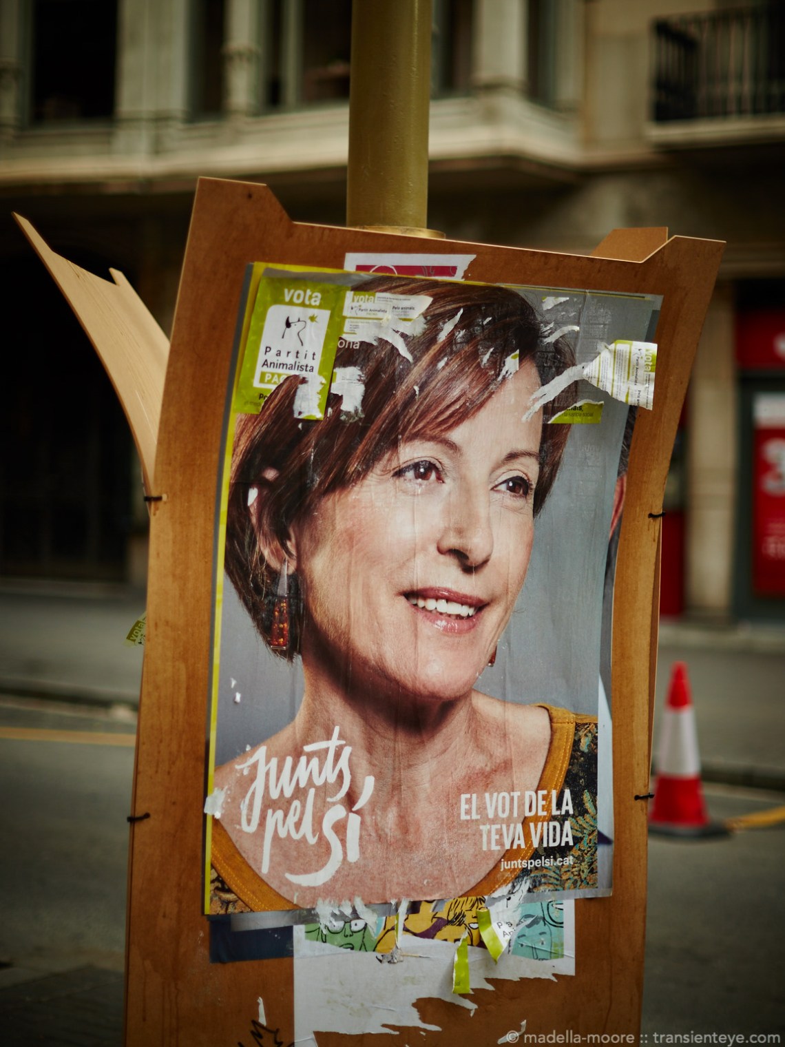 Independence Campaign Poster, Catalunya