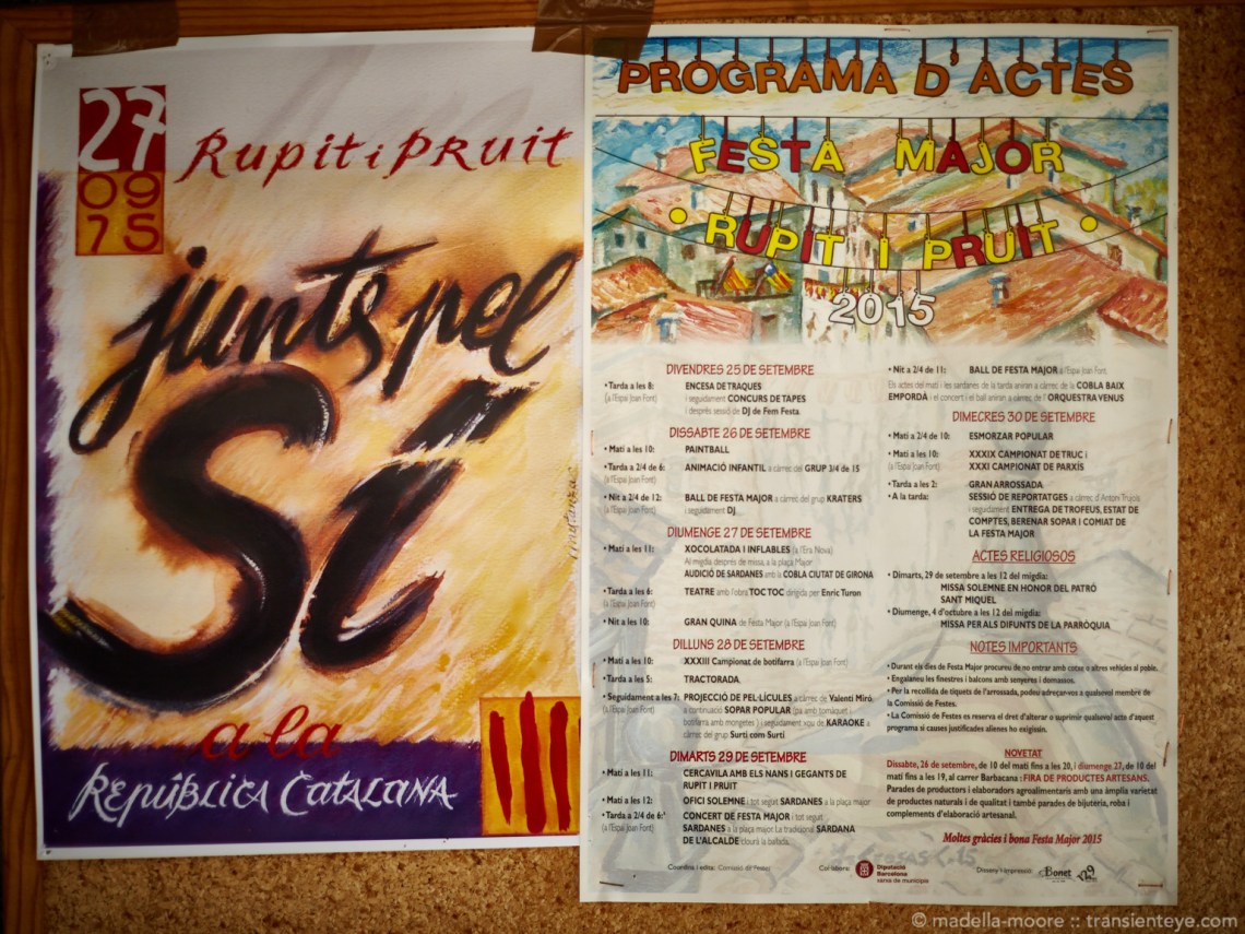 Independence Campaign Poster, Catalunya