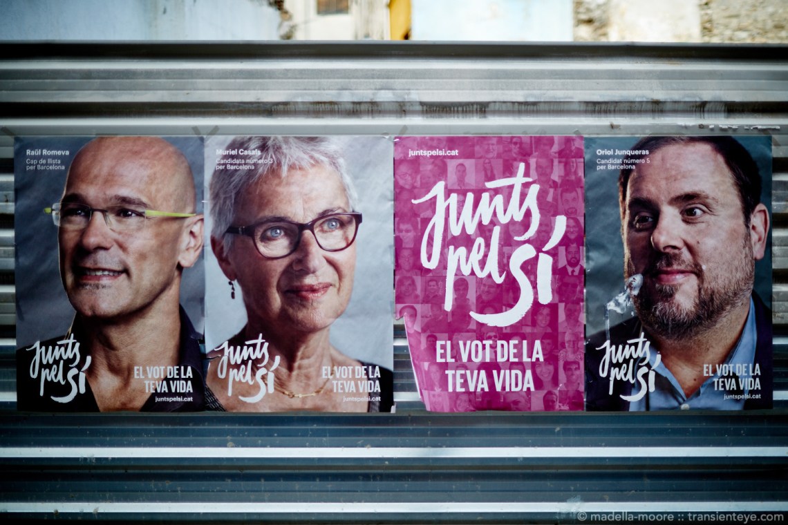 Independence Campaign Poster, Catalunya