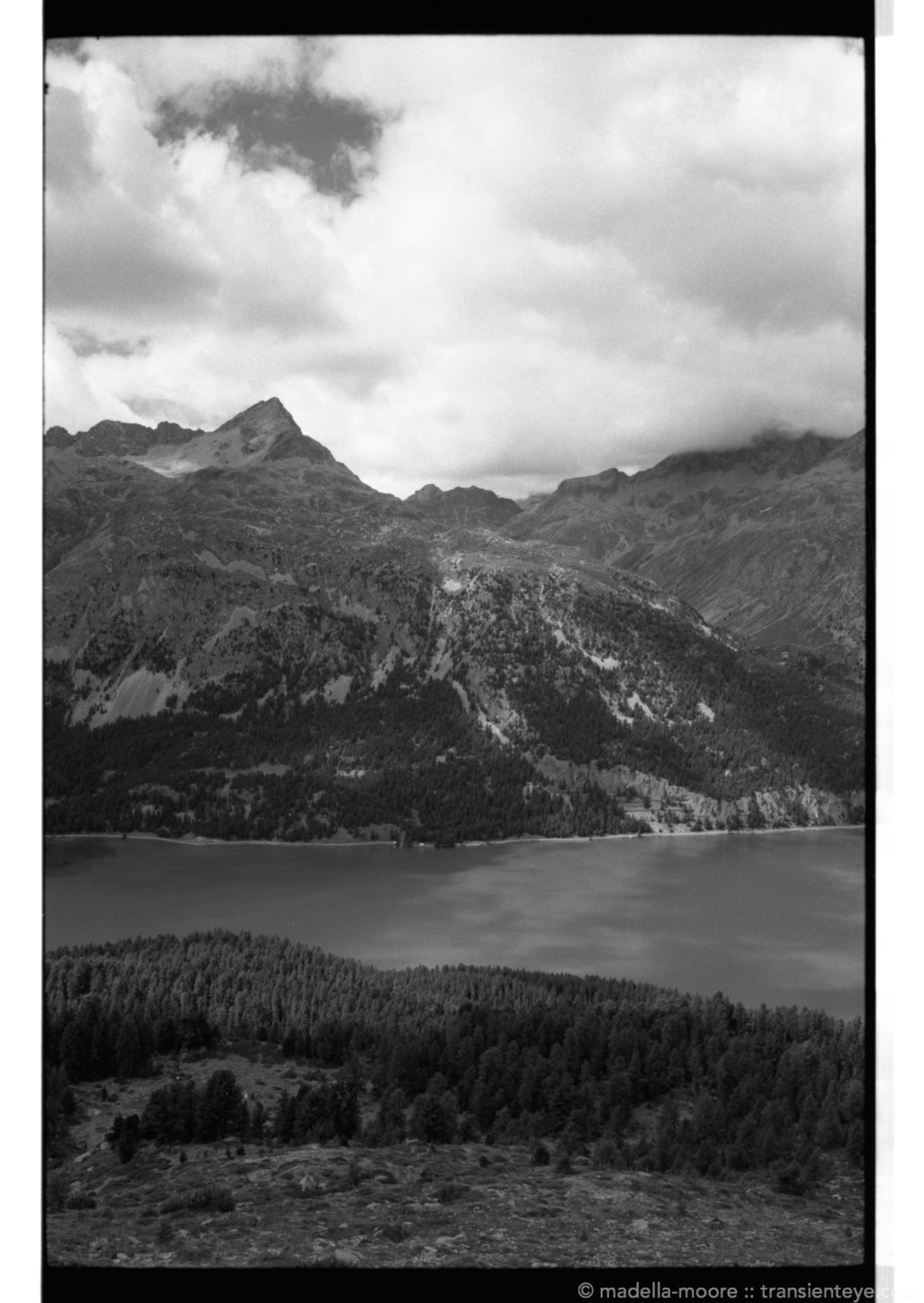 Original, unprocessed image.