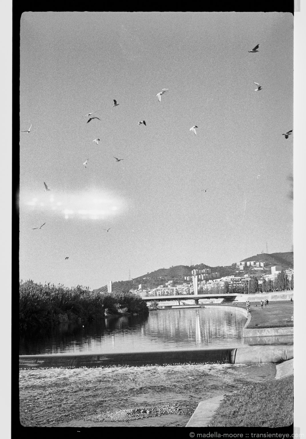 FED 5b - first images with shutter curtain light leak