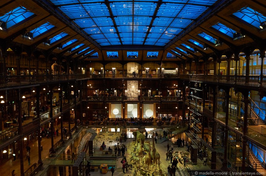 Grande Galerie de l'Évolution, Paris.