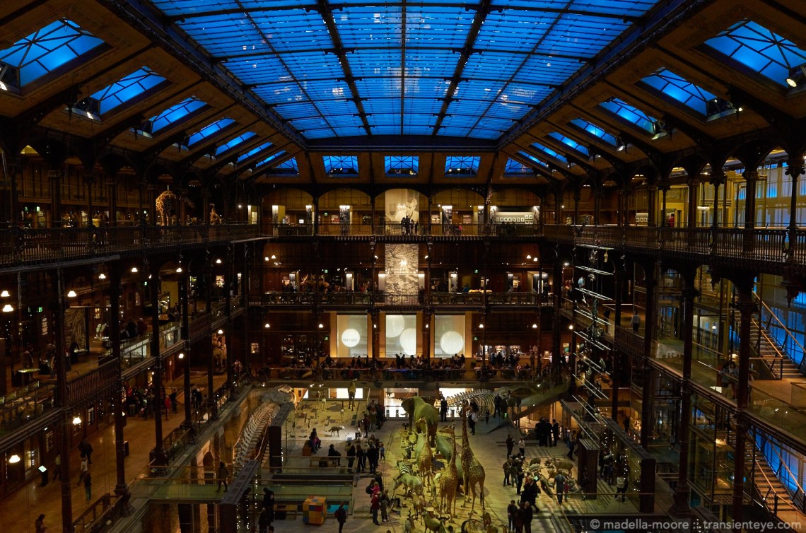 Grande Galerie de l'Évolution, Paris.