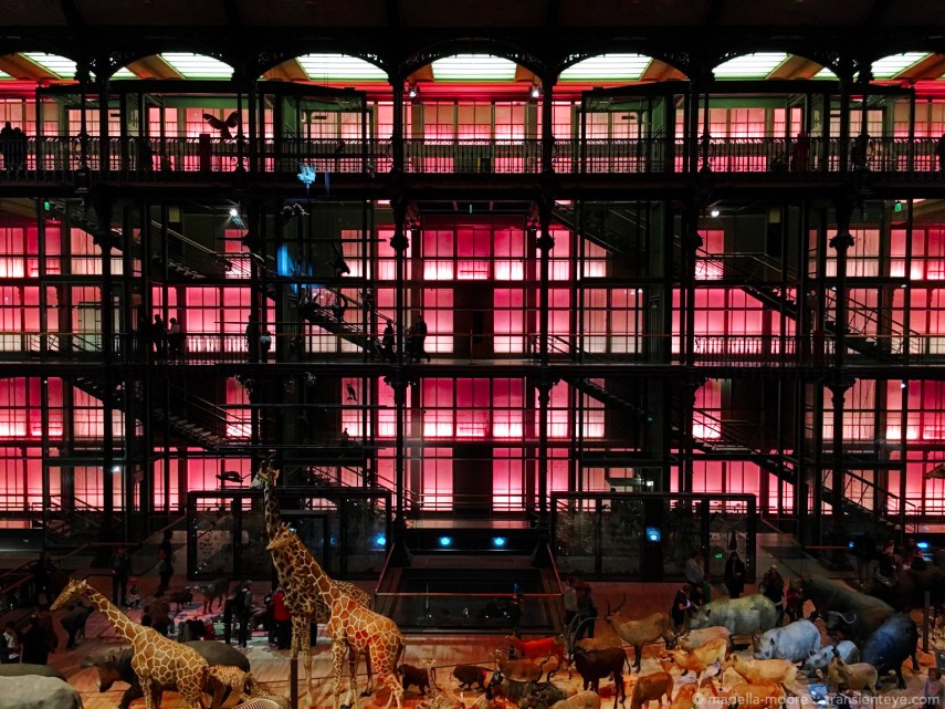Grande Galerie de l'Évolution, Paris.