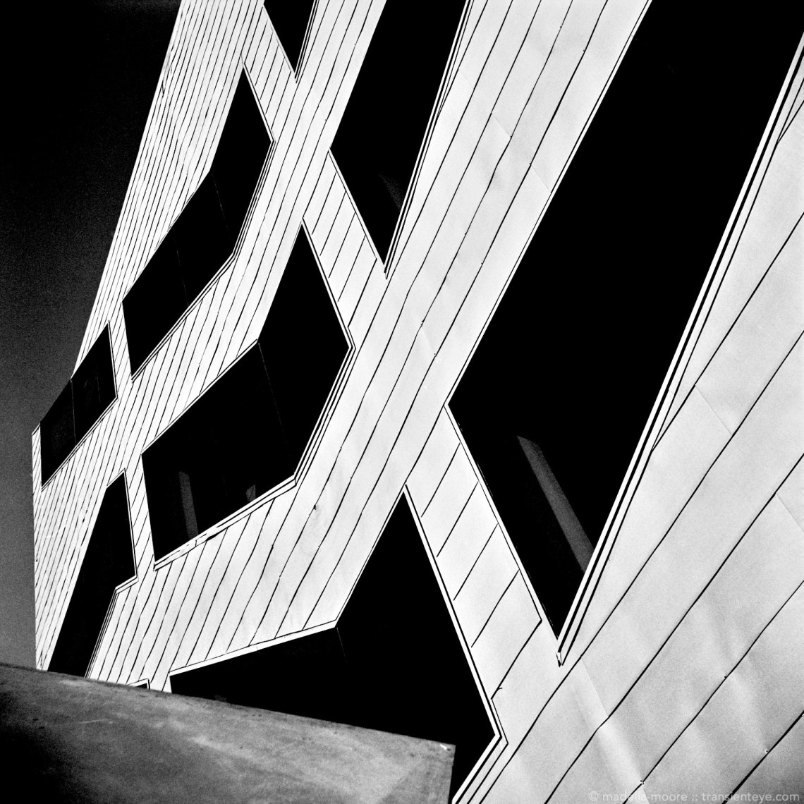 Black and white images taken with the Lomo Lubitel 166