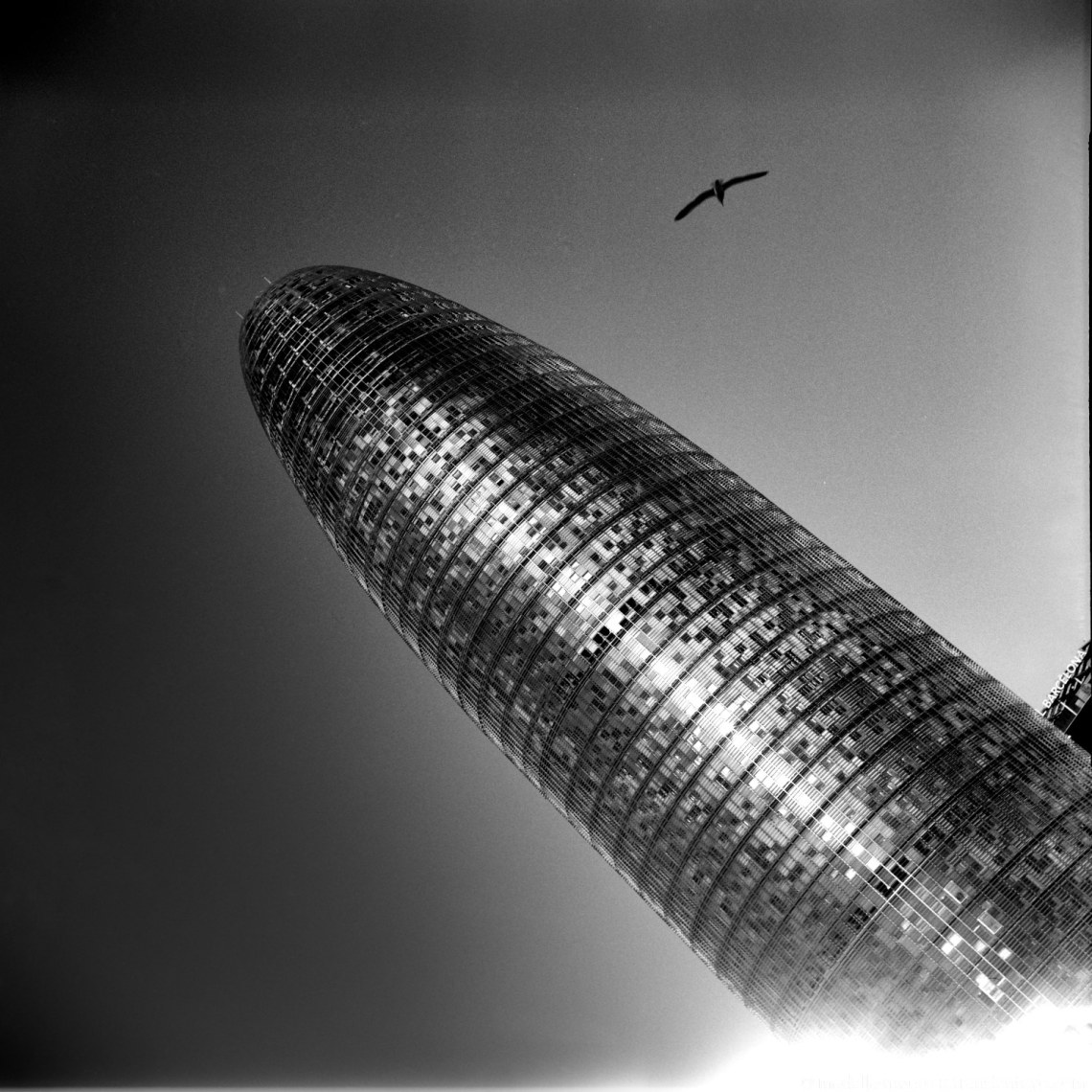 Black and white images taken with the Lomo Lubitel 166