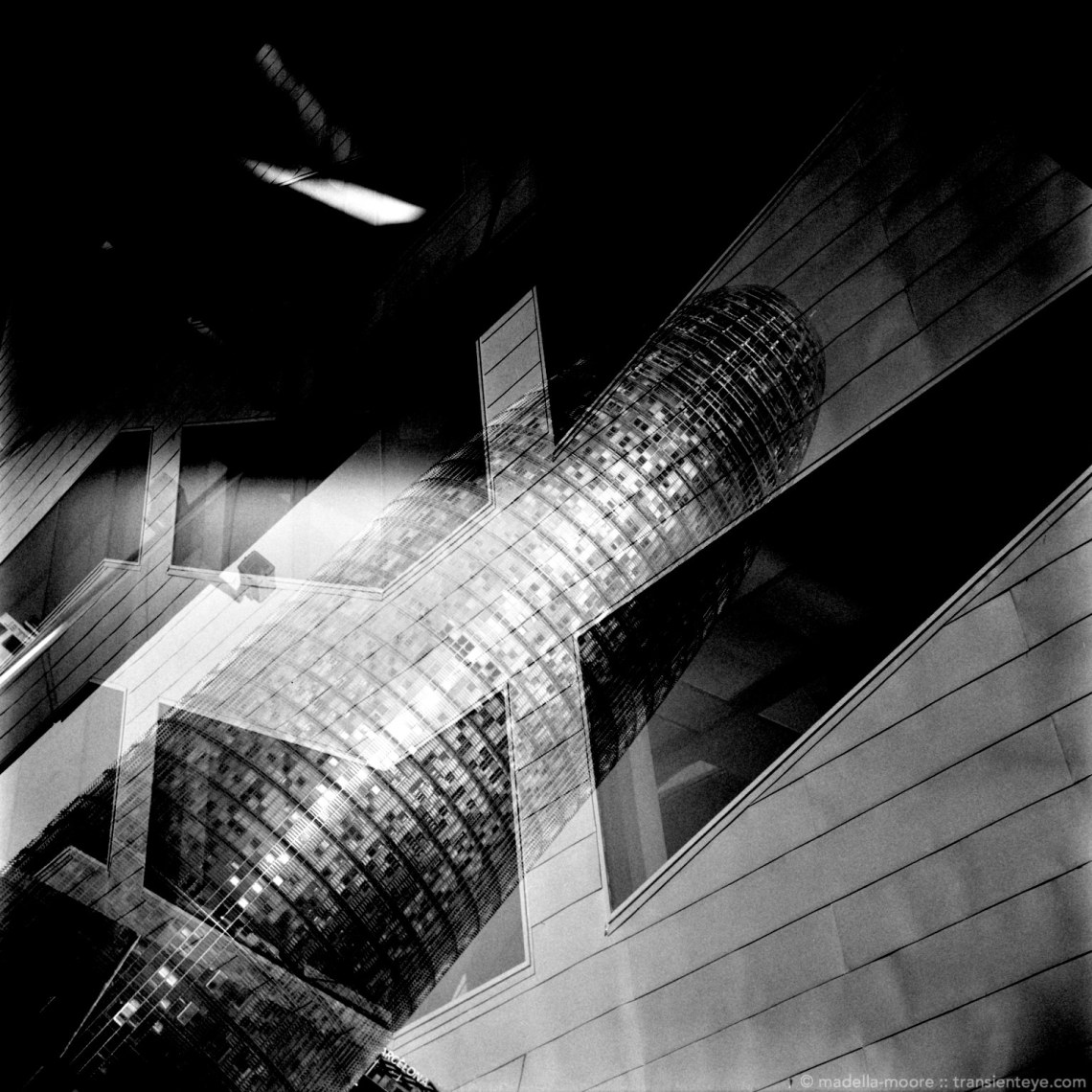 Black and white images taken with the Lomo Lubitel 166