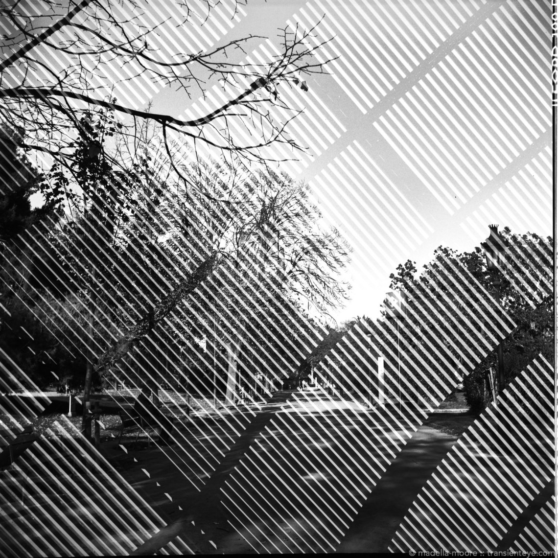 Black and white images taken with the Lomo Lubitel 166