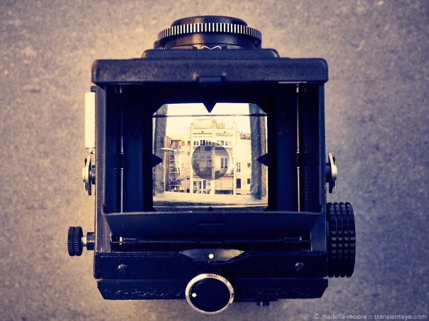 TransientEye-Lubitel-166-1529-