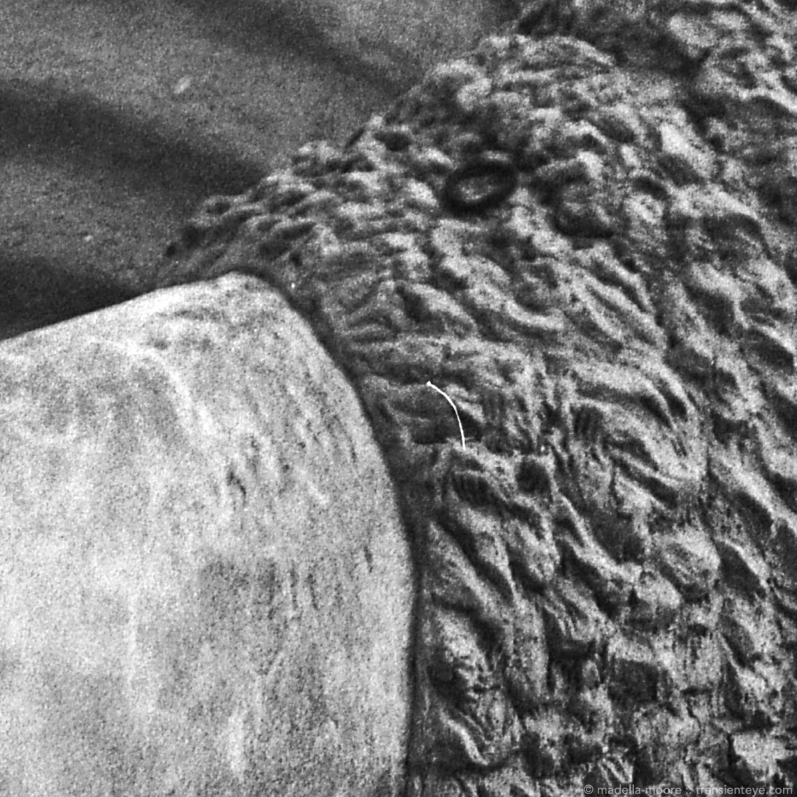 Crop of the Mammoth's tusk.