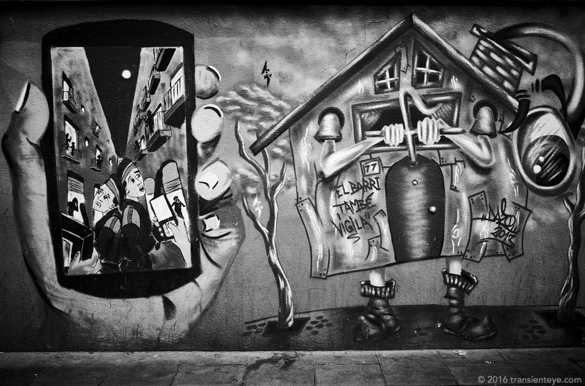 Street Art in the Raval, Barcelona. Ricoh GR, processed to Black and White in Capture One Pro 9.
