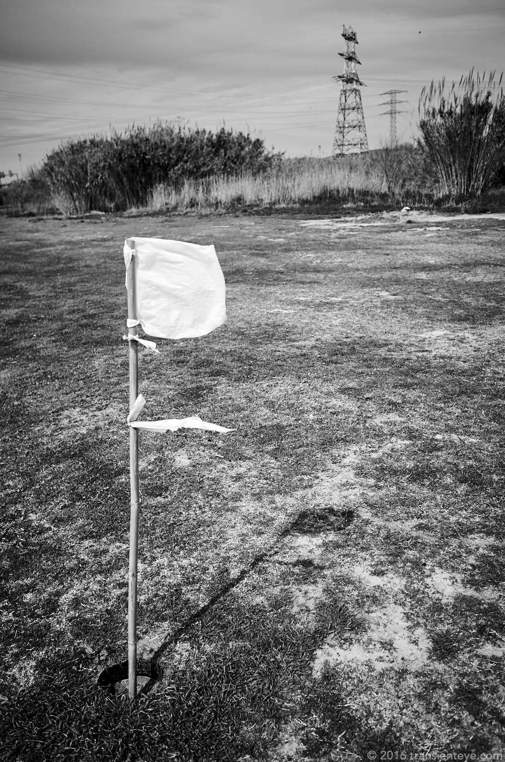 Espais Naturals, Delta de LLobregat, Barcelona - an improvised golf course.